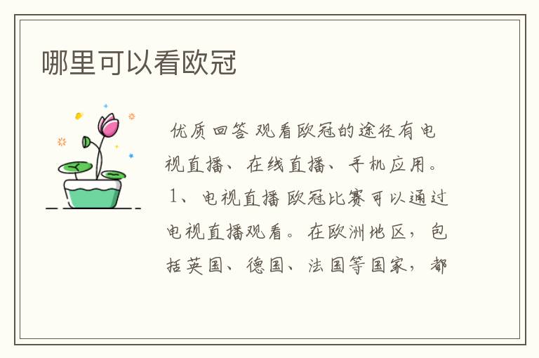 哪里可以看欧冠