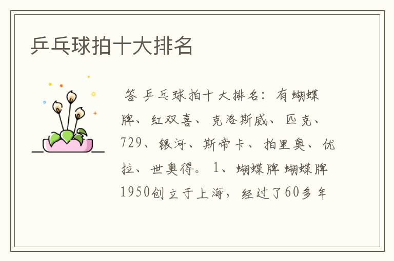 乒乓球拍十大排名