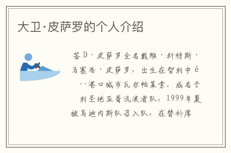 大卫·皮萨罗的个人介绍
