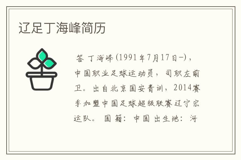 辽足丁海峰简历