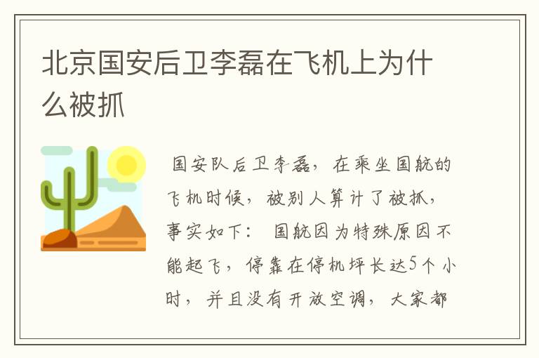 北京国安后卫李磊在飞机上为什么被抓