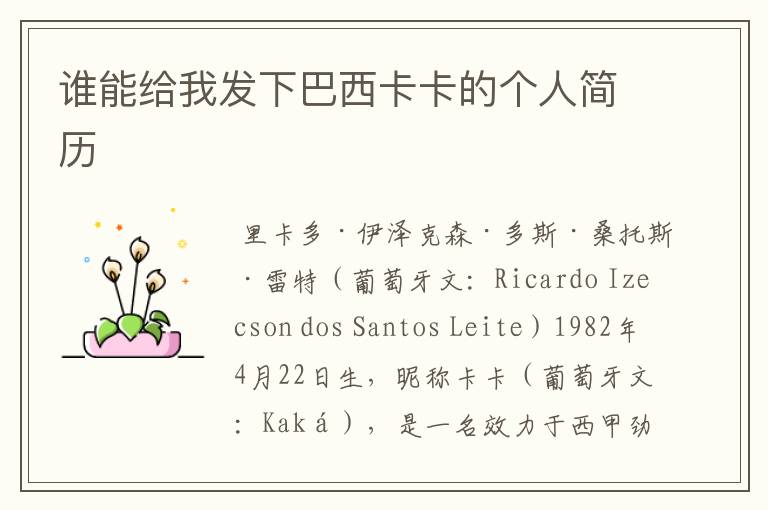 谁能给我发下巴西卡卡的个人简历