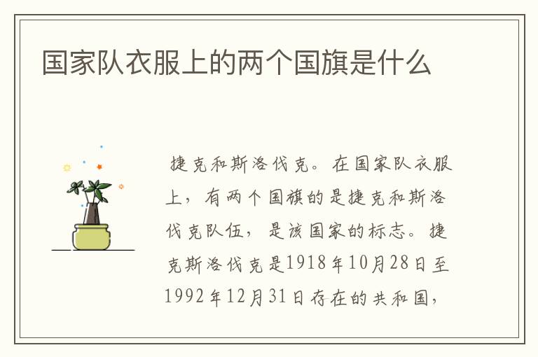 国家队衣服上的两个国旗是什么