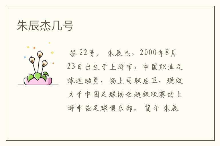 朱辰杰几号