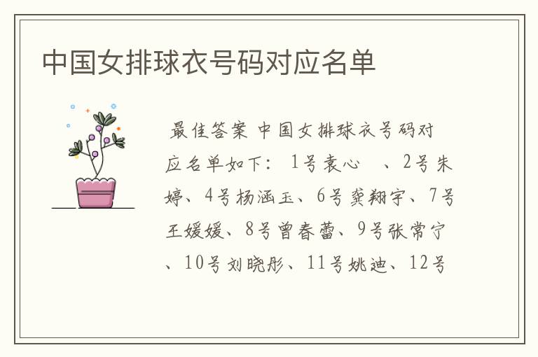 中国女排球衣号码对应名单