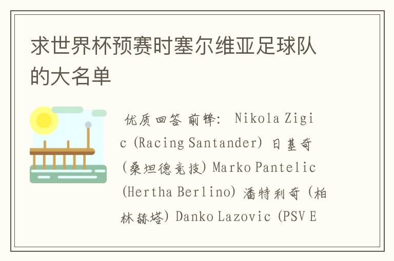 求世界杯预赛时塞尔维亚足球队的大名单