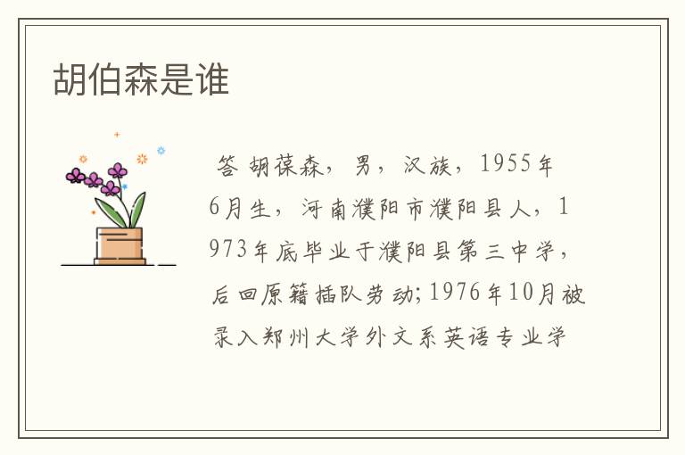 胡伯森是谁