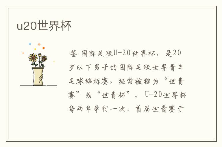 u20世界杯