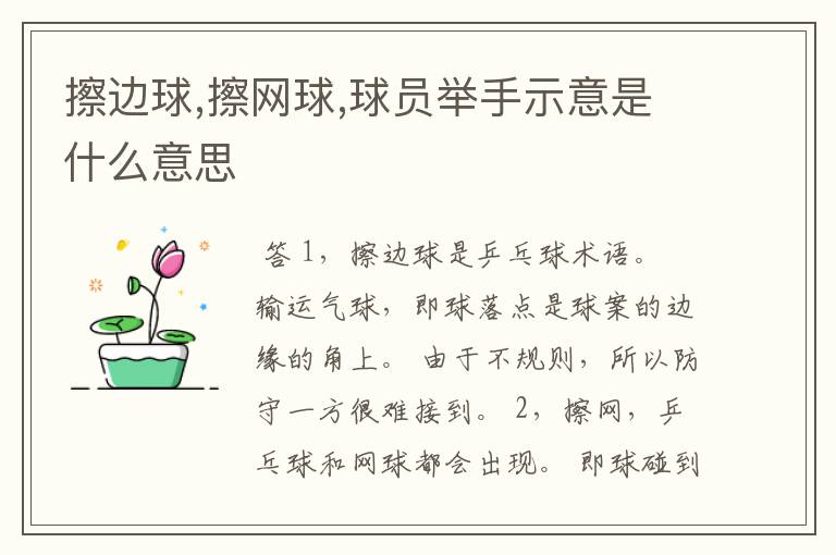擦边球,擦网球,球员举手示意是什么意思