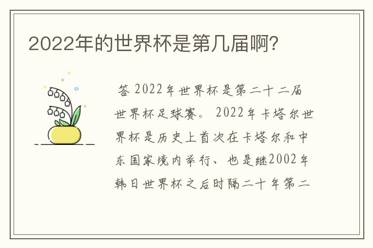 2022年的世界杯是第几届啊?