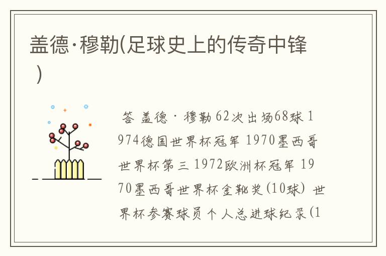 盖德·穆勒(足球史上的传奇中锋 )