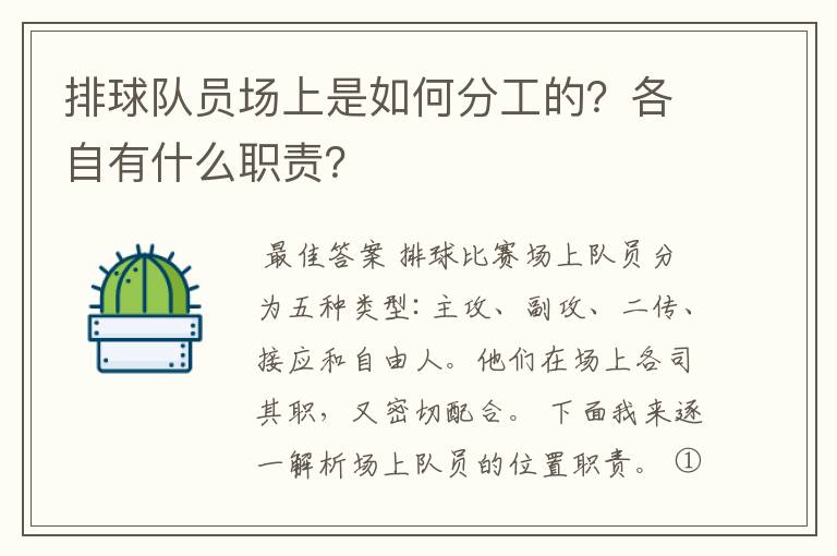 排球队员场上是如何分工的?各自有什么职责?