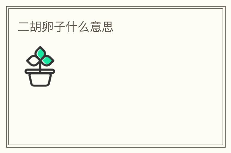 二胡卵子什么意思