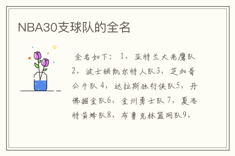 NBA30支球队的全名