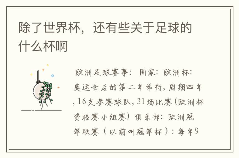 除了世界杯，还有些关于足球的什么杯啊