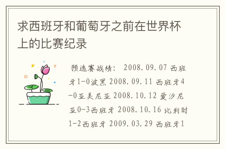 求西班牙和葡萄牙之前在世界杯上的比赛纪录