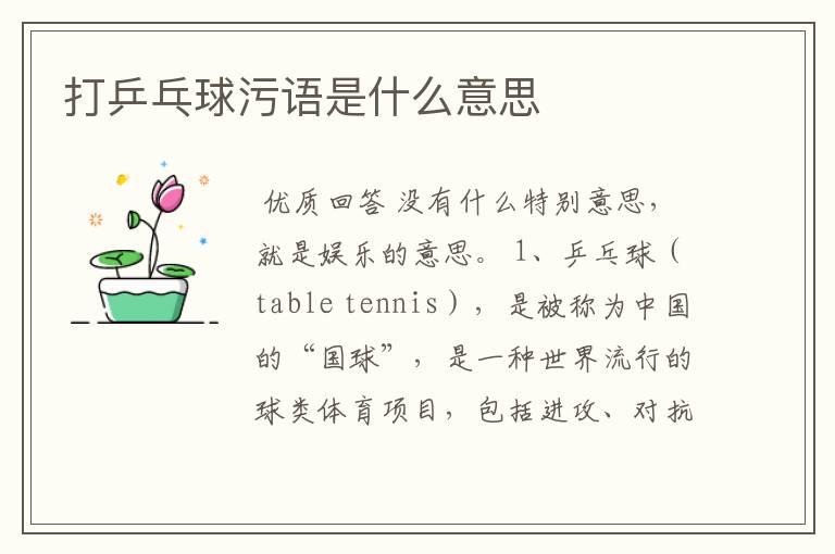 打乒乓球污语是什么意思
