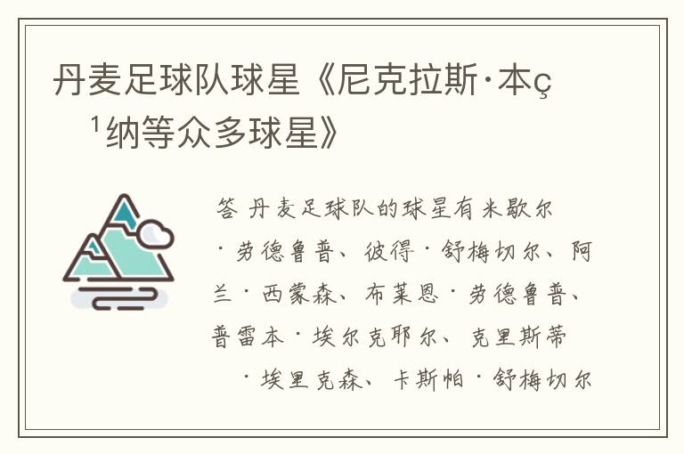 丹麦足球队球星《尼克拉斯·本特纳等众多球星》