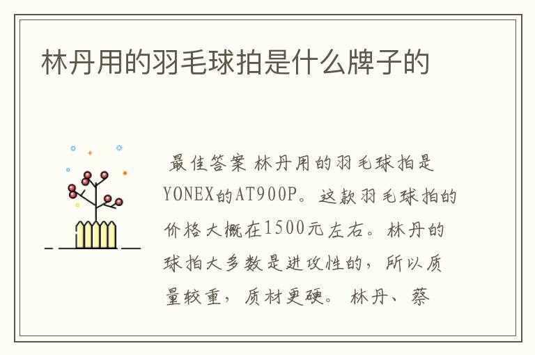 林丹用的羽毛球拍是什么牌子的