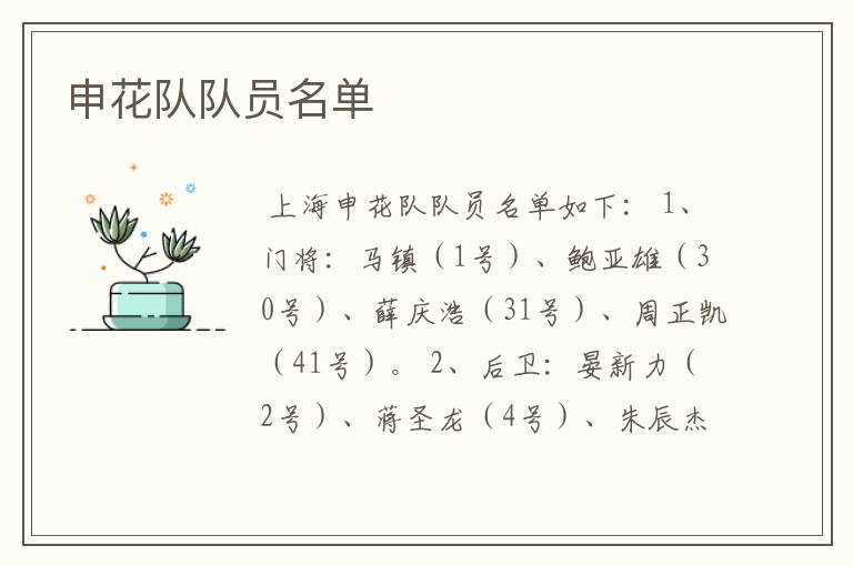 申花队队员名单