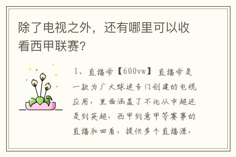 除了电视之外,还有哪里可以收看西甲联赛?