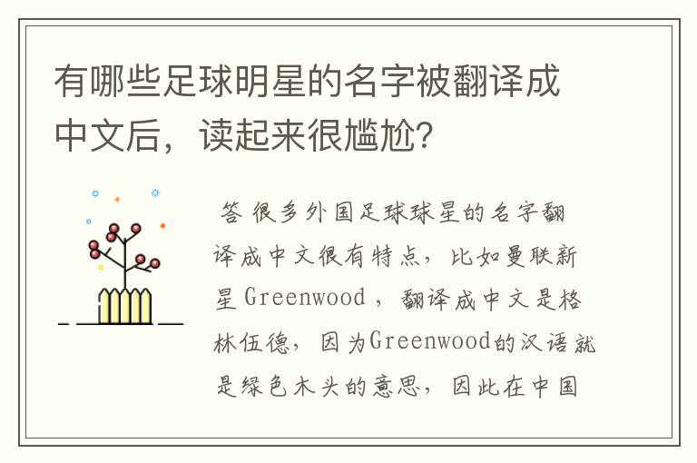 有哪些足球明星的名字被翻译成中文后，读起来很尴尬？