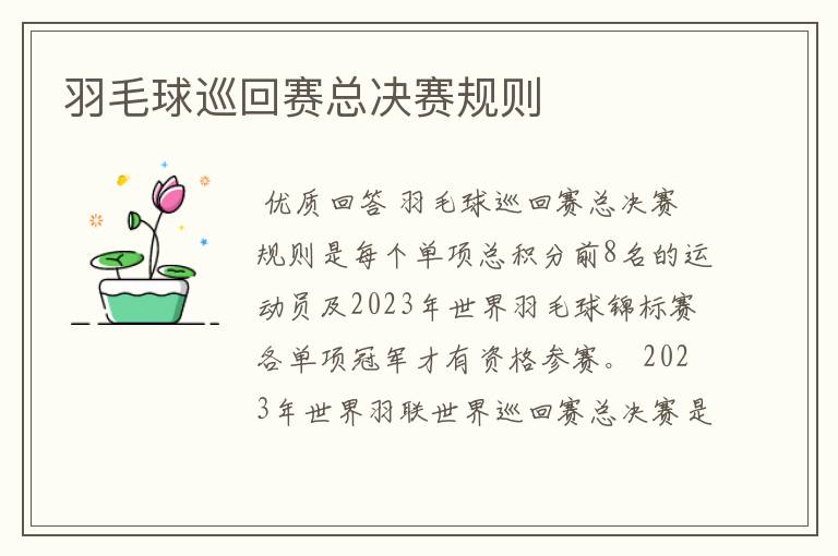 羽毛球巡回赛总决赛规则