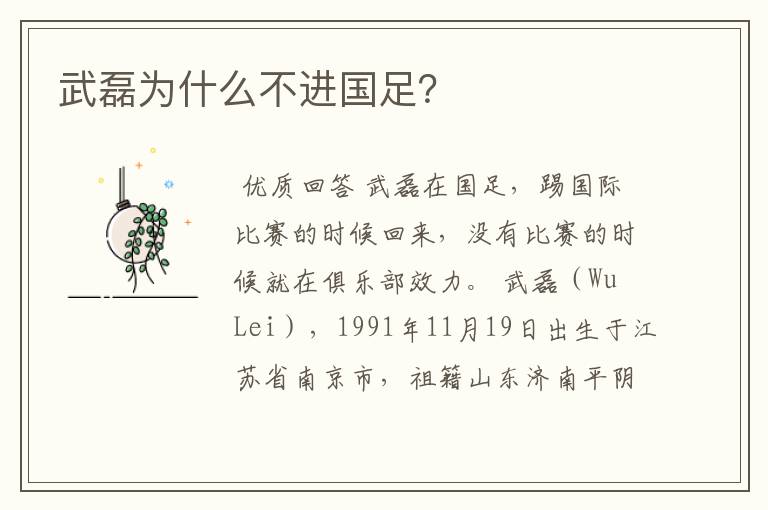 武磊为什么不进国足?