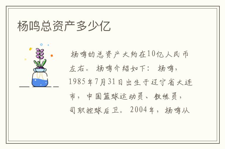 杨鸣总资产多少亿