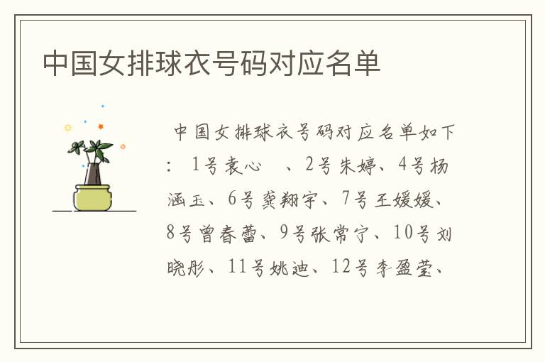 中国女排球衣号码对应名单