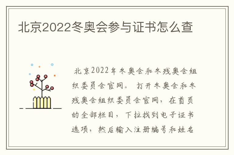 北京2022冬奥会参与证书怎么查