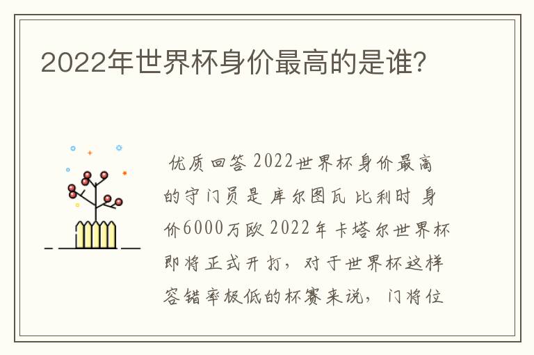2022年世界杯身价最高的是谁?
