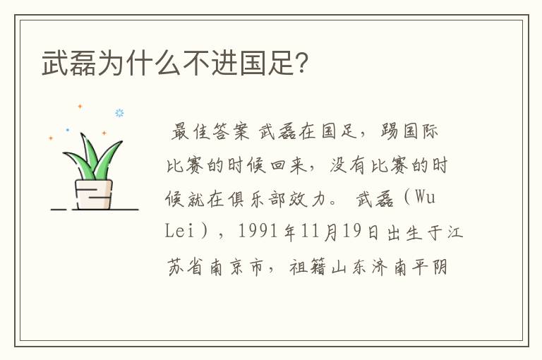 武磊为什么不进国足?