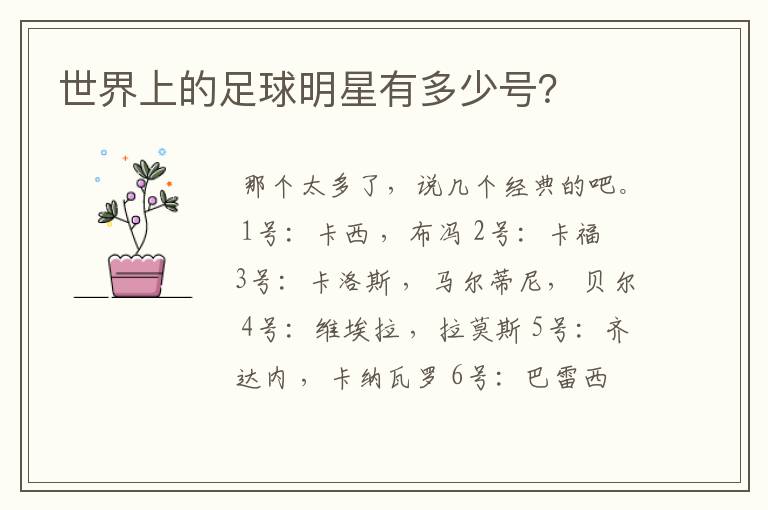 世界上的足球明星有多少号?