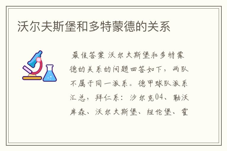 沃尔夫斯堡和多特蒙德的关系