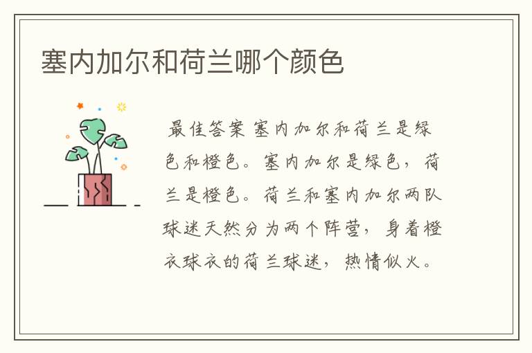 塞内加尔和荷兰哪个颜色