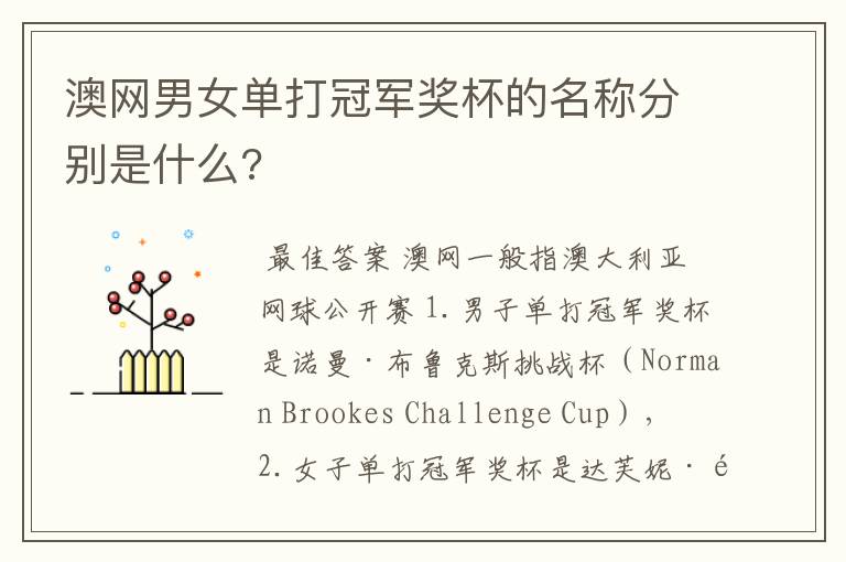 澳网男女单打冠军奖杯的名称分别是什么?
