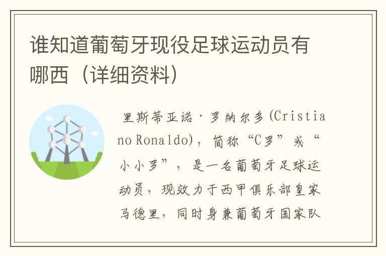 谁知道葡萄牙现役足球运动员有哪西(详细资料)