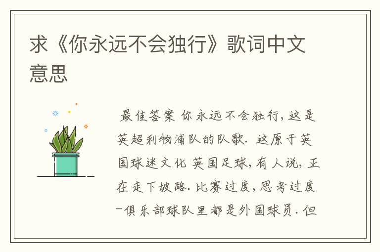 求《你永远不会独行》歌词中文意思