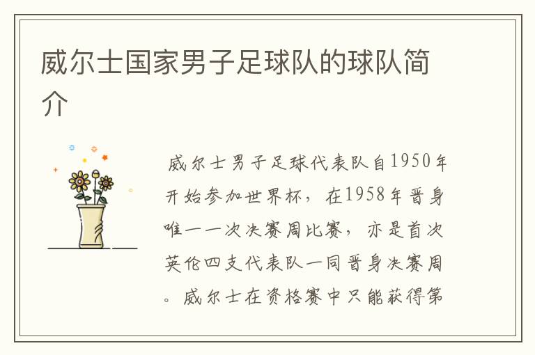威尔士国家男子足球队的球队简介