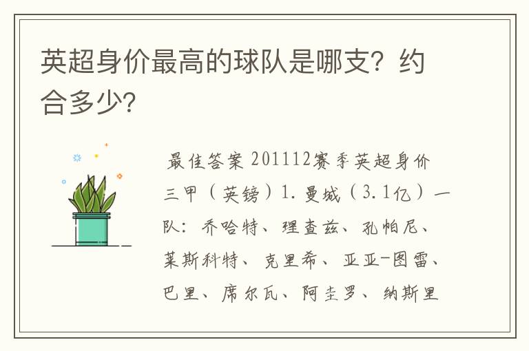 英超身价最高的球队是哪支?约合多少?