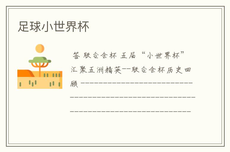 足球小世界杯