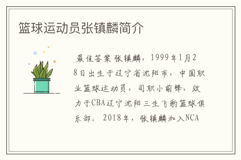 篮球运动员张镇麟简介