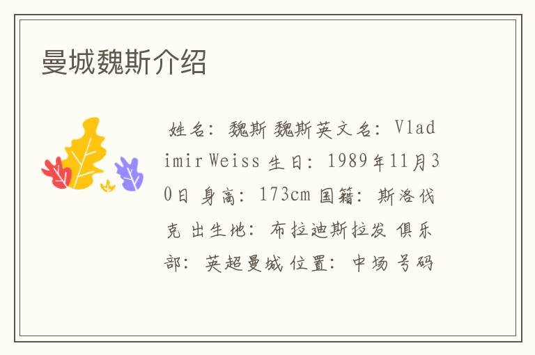 曼城魏斯介绍
