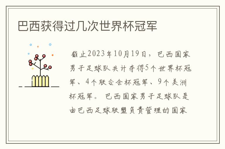 巴西获得过几次世界杯冠军