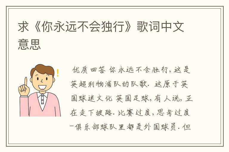 求《你永远不会独行》歌词中文意思