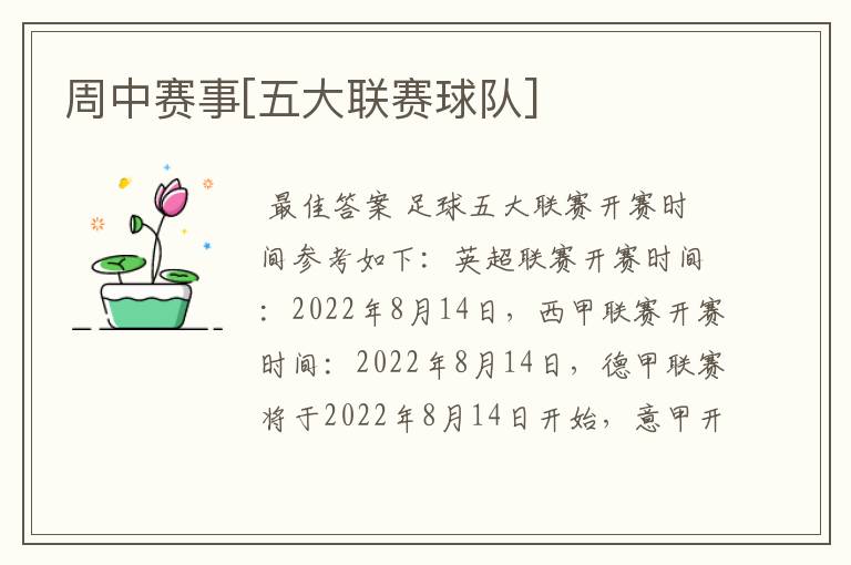 周中赛事[五大联赛球队]
