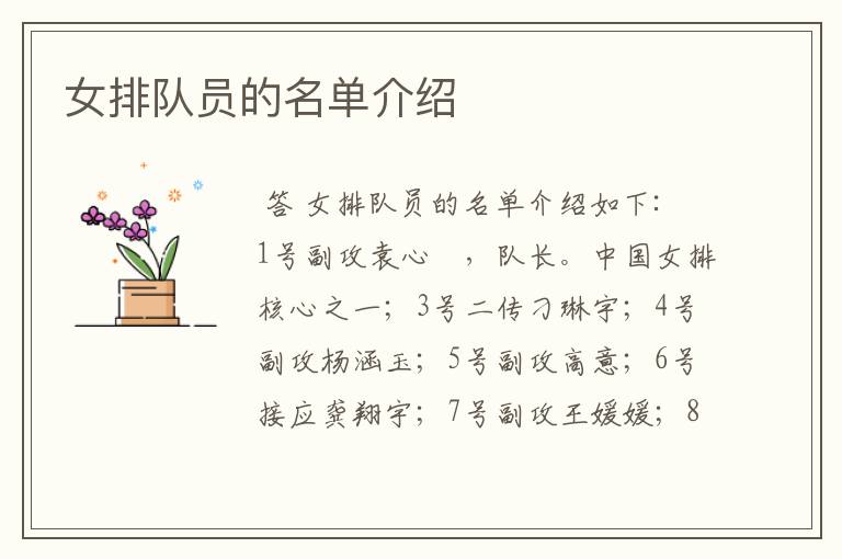 女排队员的名单介绍