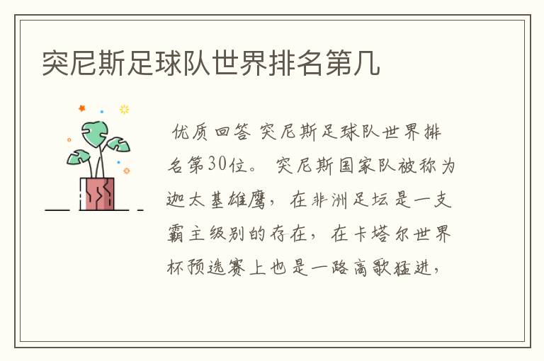 突尼斯足球队世界排名第几