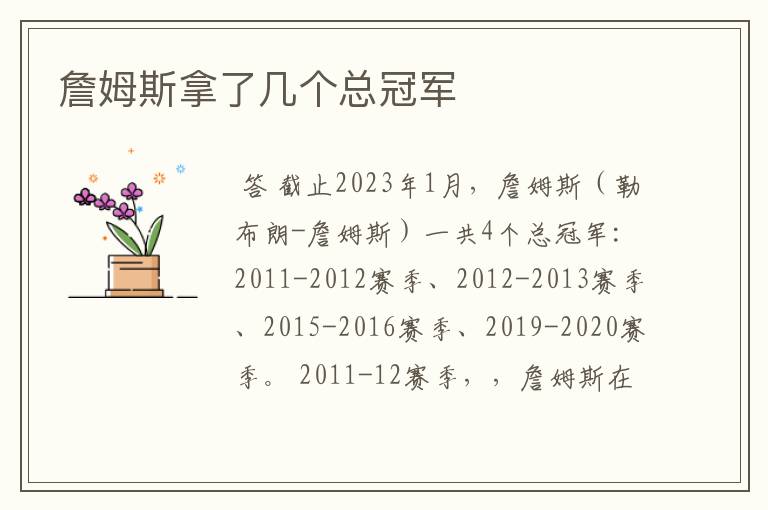 詹姆斯拿了几个总冠军